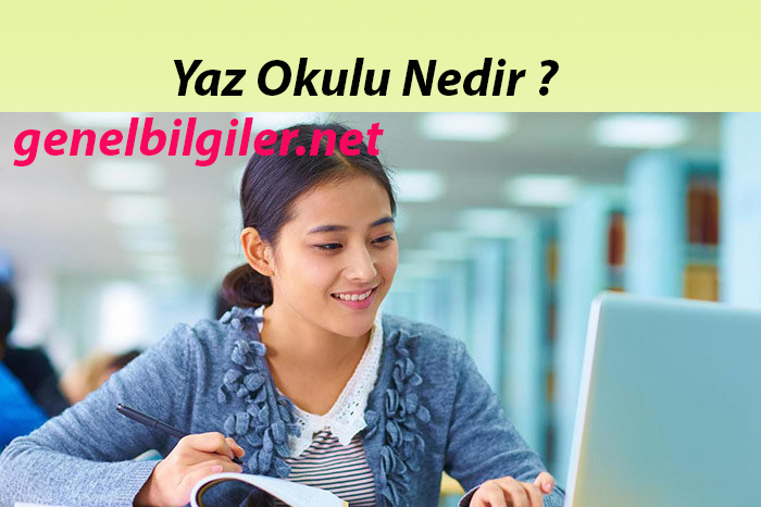 Yaz Okulu Nedir ? , Yaz Okulu Üniversite